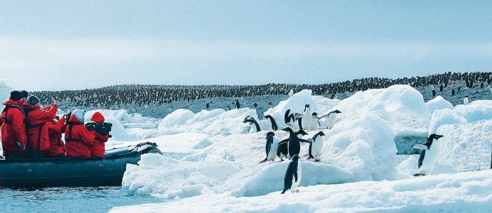 Expedition pur an Bord der HANSEATIC nature