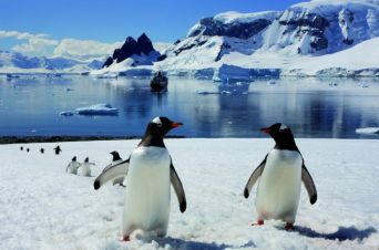 Impressionen zur Reise mit MS HAMBURG