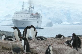 Mit MS Delphin in die Antarktis - ein Traum!