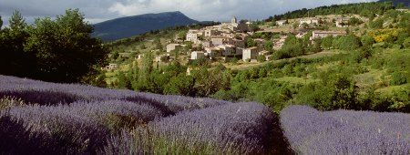 A-ROSA Rhone / Saone