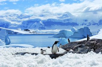 Impressionen zur Reise mit MS HAMBURG