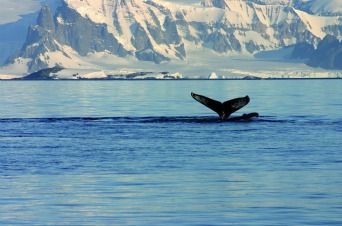 Impressionen zur Reise mit MS HAMBURG
