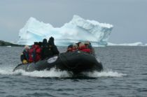 Mit Zodiacs von MS Delphin in der Antarktis