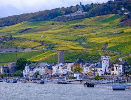Kreuzfahrt1000.de und Phoenix Reisen wünschen Ihnen eine SCHÖNE ZEIT