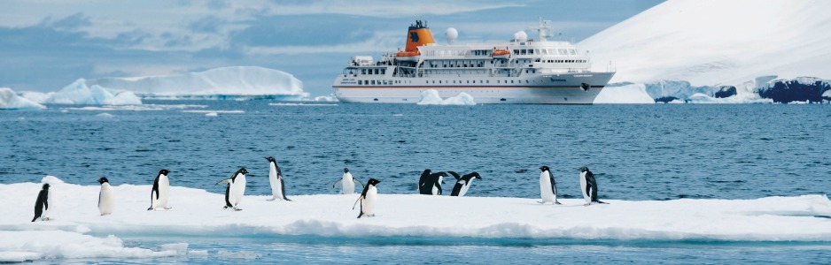 MS BREMEN